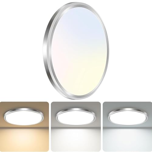 LED Ceiling Light Fixture
