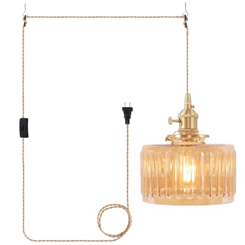 Plug in Pendant Light Hanging Light Fixtures with Plugin Cord On