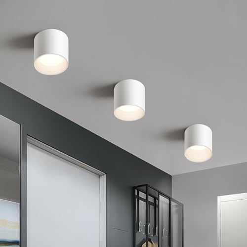 White Hallway Flush Mount Ceiling Light Fixtures for Kitchen Entryway