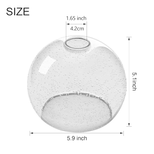 3 Pack Globe Glass Shade (3 Count)