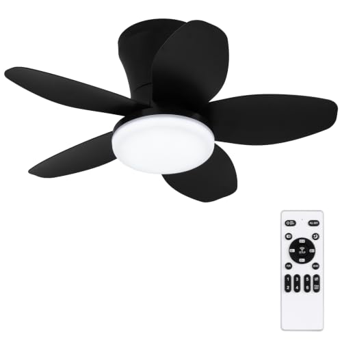 Small Ceiling Fan with Lights (25 Inch)