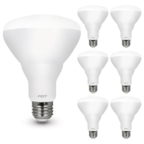 BR30 LED Light Bulbs (6 Count)