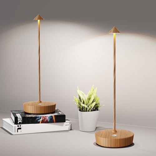 Cordless Table Lamp Rechargeable 6000mAh Battery Outdoor LED Light (2 Count)