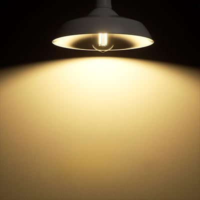 12 Pack Vintage 8W ST58 LED Edison Light Bulbs