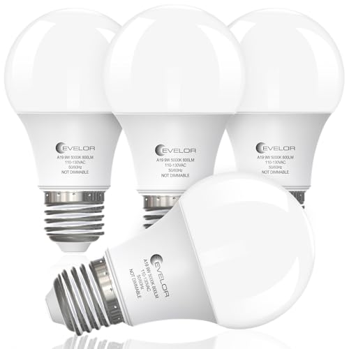A19 LED Light Bulbs (4 Count)