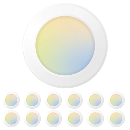 12 Pack 5 6 Inch LED Disk Lights (12 Count)