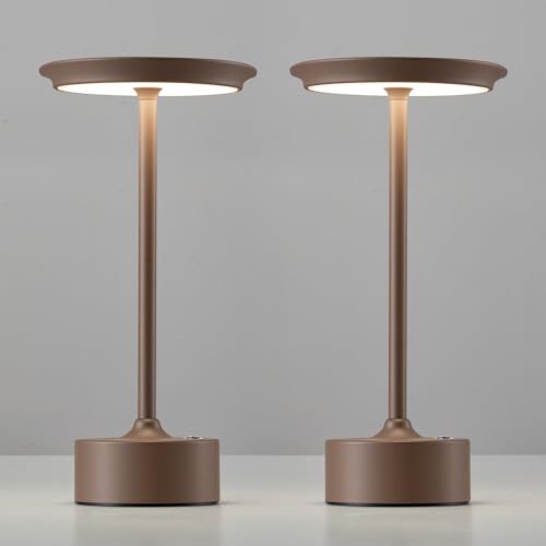 Rechargeable Table Lamps Set of 2 (2 Count)