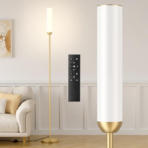 LED Floor Lamp with Remote Control