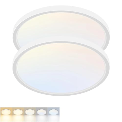 2 Pack LED Flush Mount Ceiling Light (2 Count)