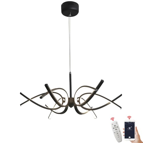 Modern LED Ceiling Light Fixture