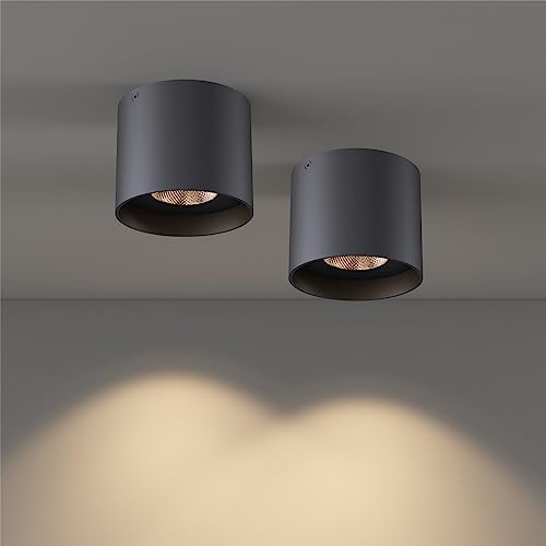 Ceiling Light Fixture (2 Count)