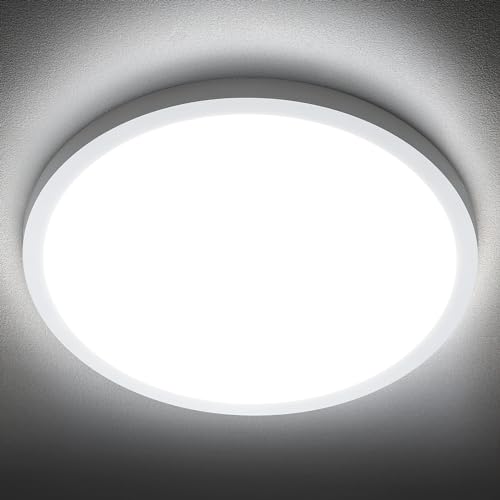 LED Flush Mount Ceiling Light 6000K