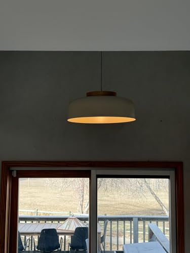 Modern Large Pendant Light
