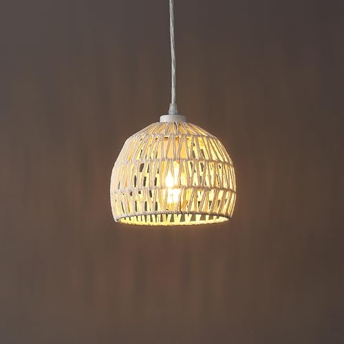 Campana 1 Light Pendant Dome Ceiling Lamp