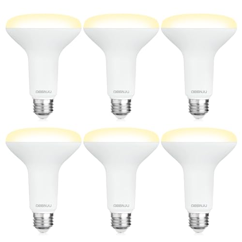 6 Pack BR30 LED Recessed Light Bulb (6 Count)