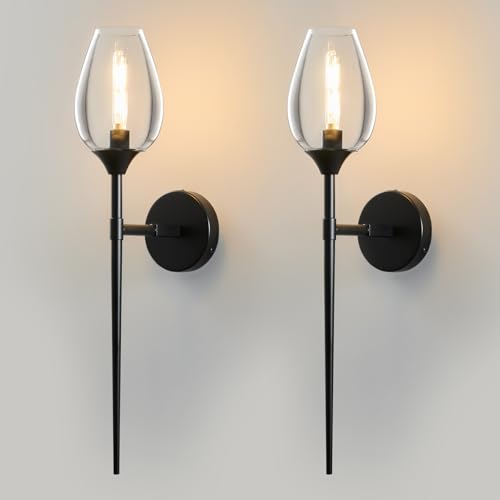 2 Pack Blcak Glass Wall Sconce Light