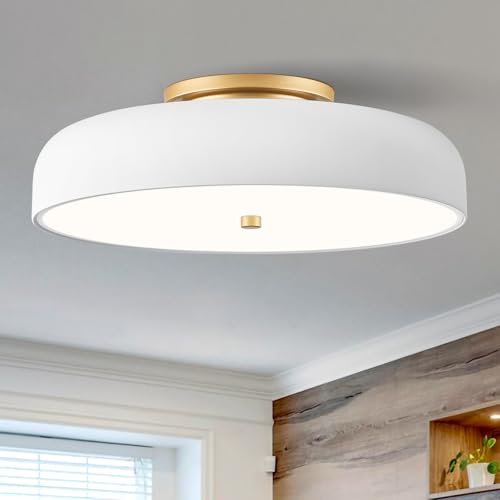 Dimmable LED Ceiling Light Fixture