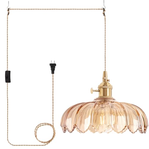 Plug in Pendant Light Hanging Light Fixtures with Plugin Cord On