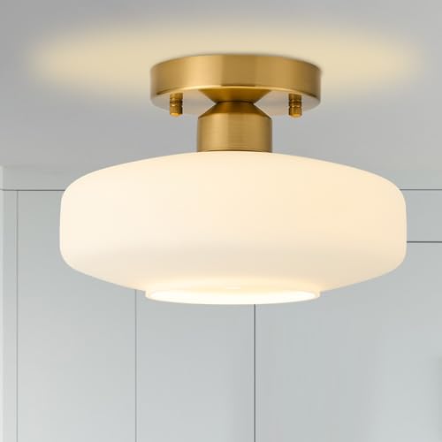 Modern Ceiling Light