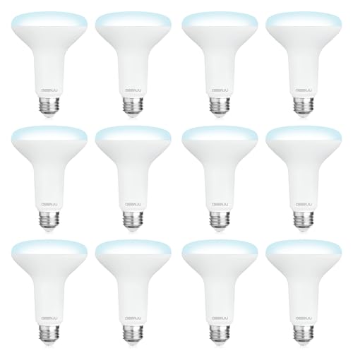 12 Pack BR30 LED Recessed Light Bulb (12 Count)