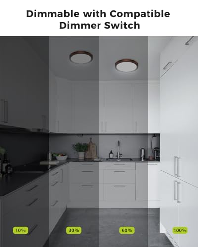 2Pack Dimmable Flush Mount Ceiling Light Fixture Oil Rubbed Bronze (2 Count)