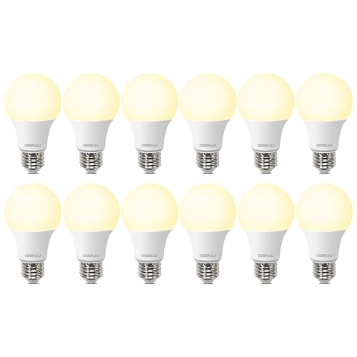LED Light Bulbs (12 Count)