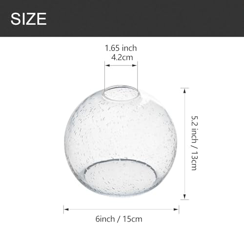 3 Pack Fixture Replacement Globe Shade (3 Count)