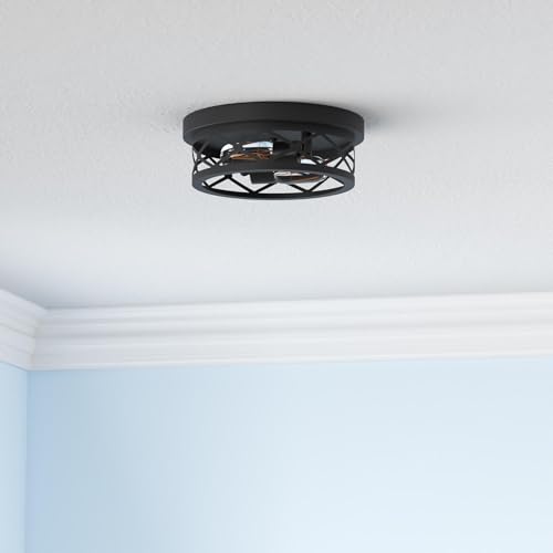 Flush Mount Ceiling Light Fixture for Hallway (2 Count)