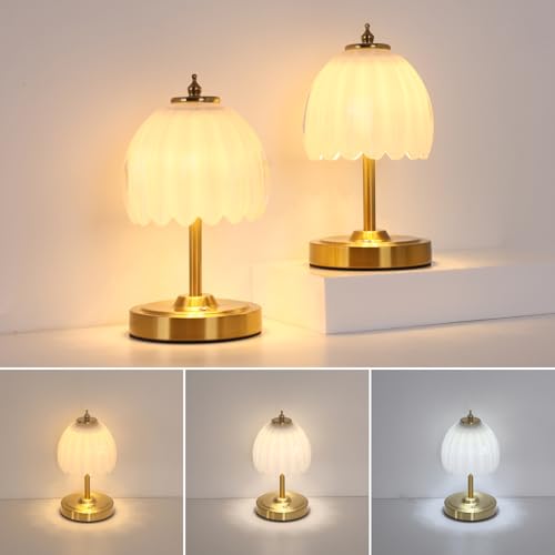 Set of 2 Tulip Table Lamp with 5200mAh Battery & Touch Control (2 Count)