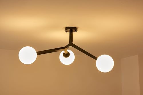 Semi Flush Mount Ceiling Light Fixture