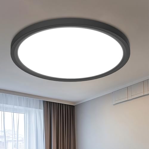 16" Black LED Ceiling Lights