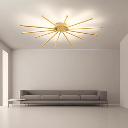 Modern LED Ceiling Light