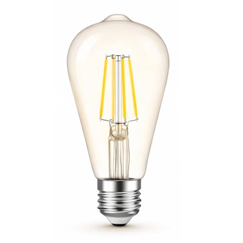 Vintage Edison LED Bulb