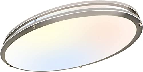 32 Inch Oval LED Ceiling Light