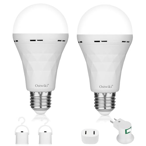 2 Pack Rechargeable Emergency Light Bulbs for Lamps 8500K White Equivalent (2 Count)