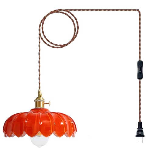 Plug in Pendant Light