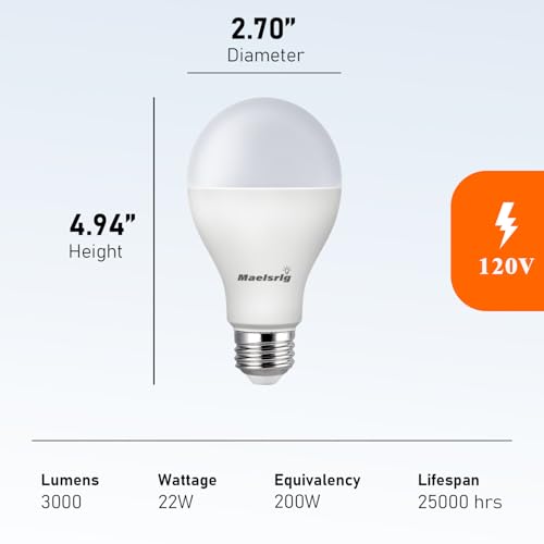 200 Watt Equivalent LED Bulb (4 Count)