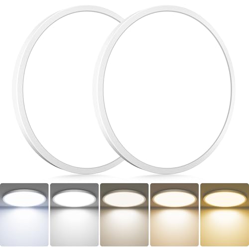 2Pack LED Flush Mount Ceiling Light Fixture (2 Count)