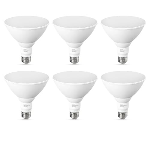 LED Flood Light Bulbs (6 Count)