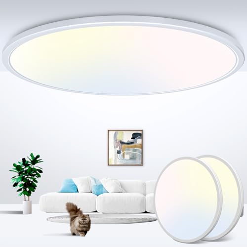 2Pack 20 inch LED Flush Mount Ceiling Light