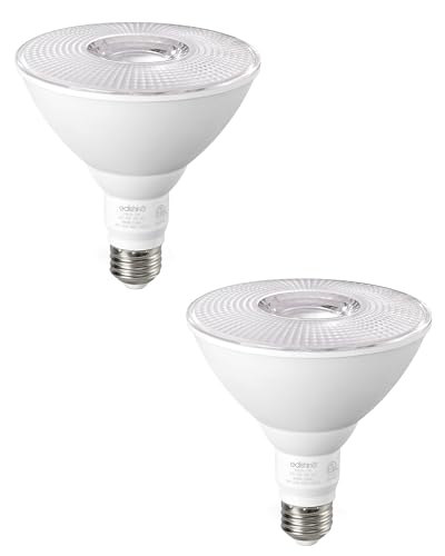 PAR38 LED Flood Light Bulbs Outdoor Dimmable 5000K 1800LM (2 Count)