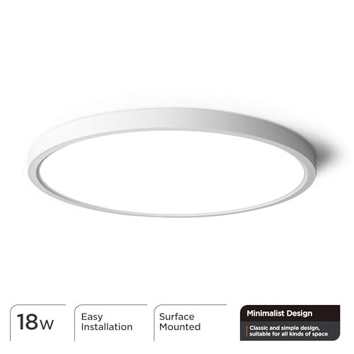 Flush Mount Ceiling Light