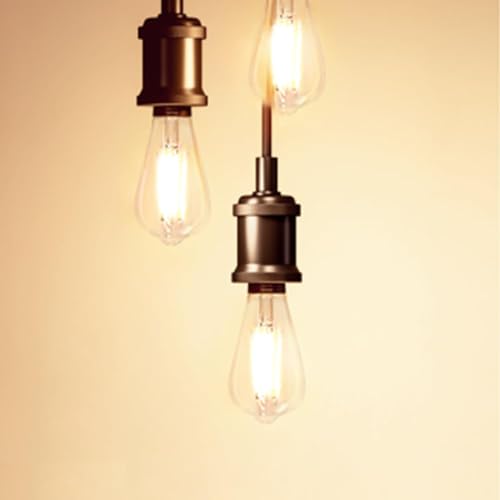 36 Pack Vintage LED Edison Bulbs 6W (36 Count)