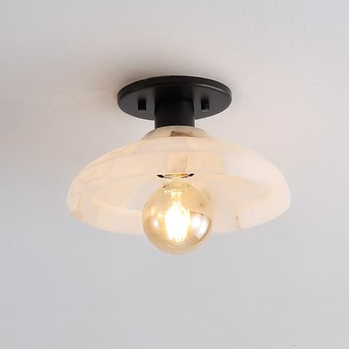 Amara 1 Light Semi Flush Mount Metal 10"