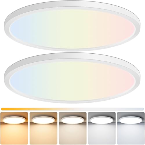 15 Inch Dimmable Large Flush Mount Ceiling Light Fixture (2 Count)