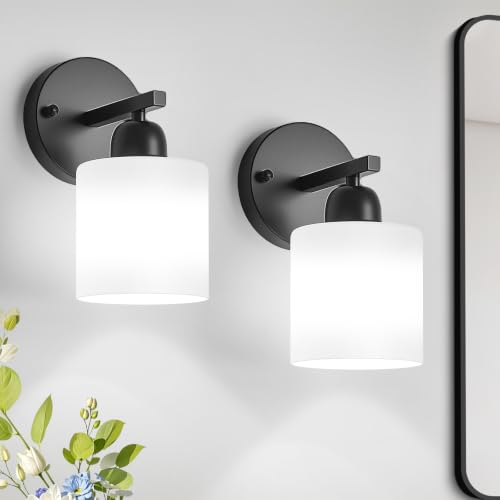 2PCS Light Black Bathroom Light Fixture