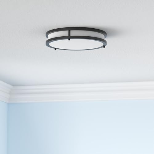 36W LED Flush Mount Ceiling Light Fixture