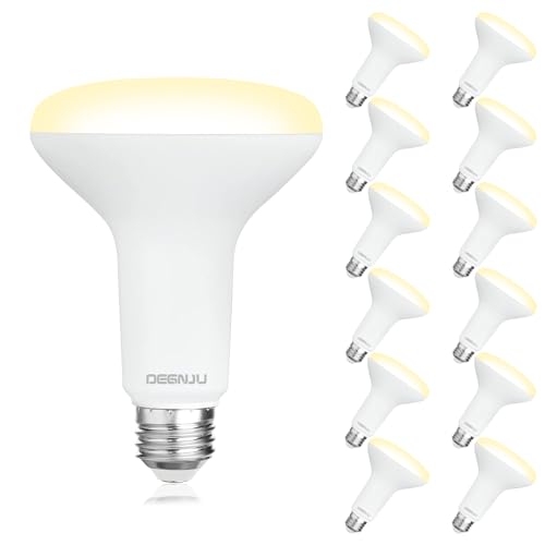 12 Pack Indoor Flood Light Bulbs (12 Count)