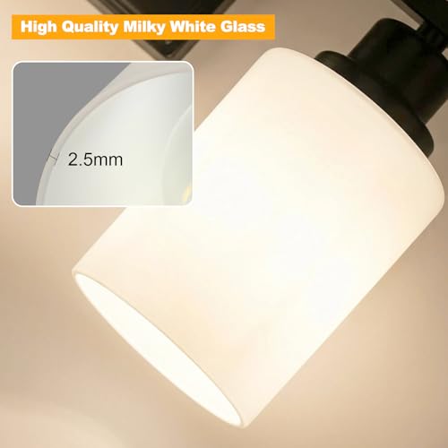 3 Light Bathroom Light Fixtures