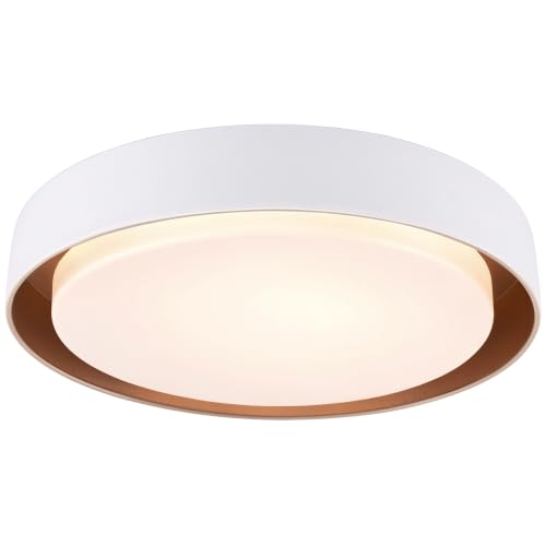 Flush Mount Ceiling Light (Matte White)